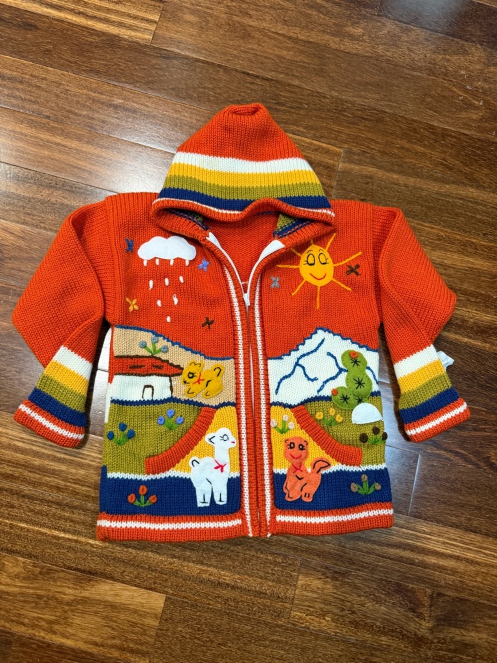 NWT Handmade Children's Knitted Orange Zip Hooded Sweater with Sunny Animal